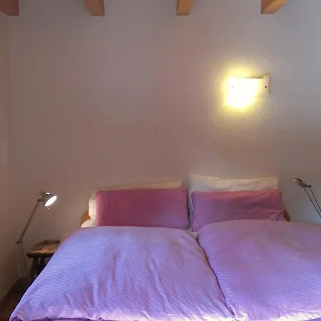 木屋 Vieux Meleze 格里门茨