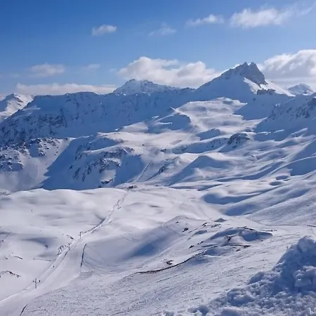 Vieux Meleze 샬레 *